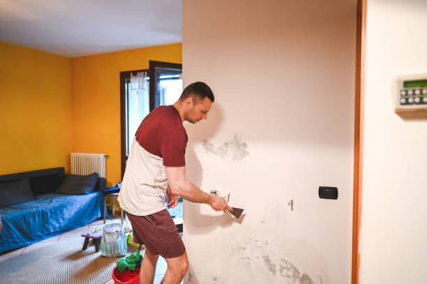 Best Affordable Mold Removal  in Valhalla, NY